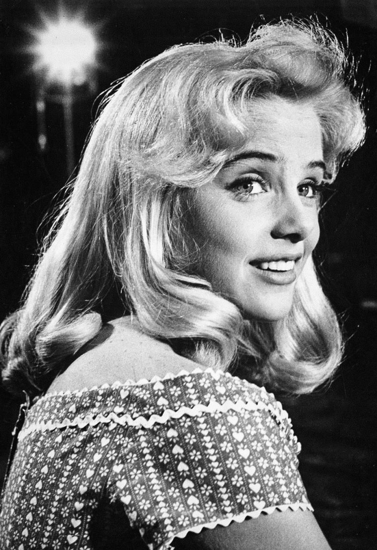 True Ellison 30 Forgotten actors of the 1960s – Garlic Soda