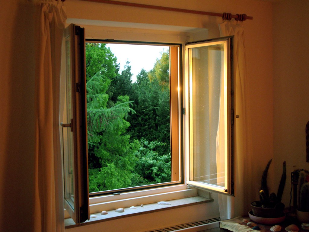 Windows Left Open