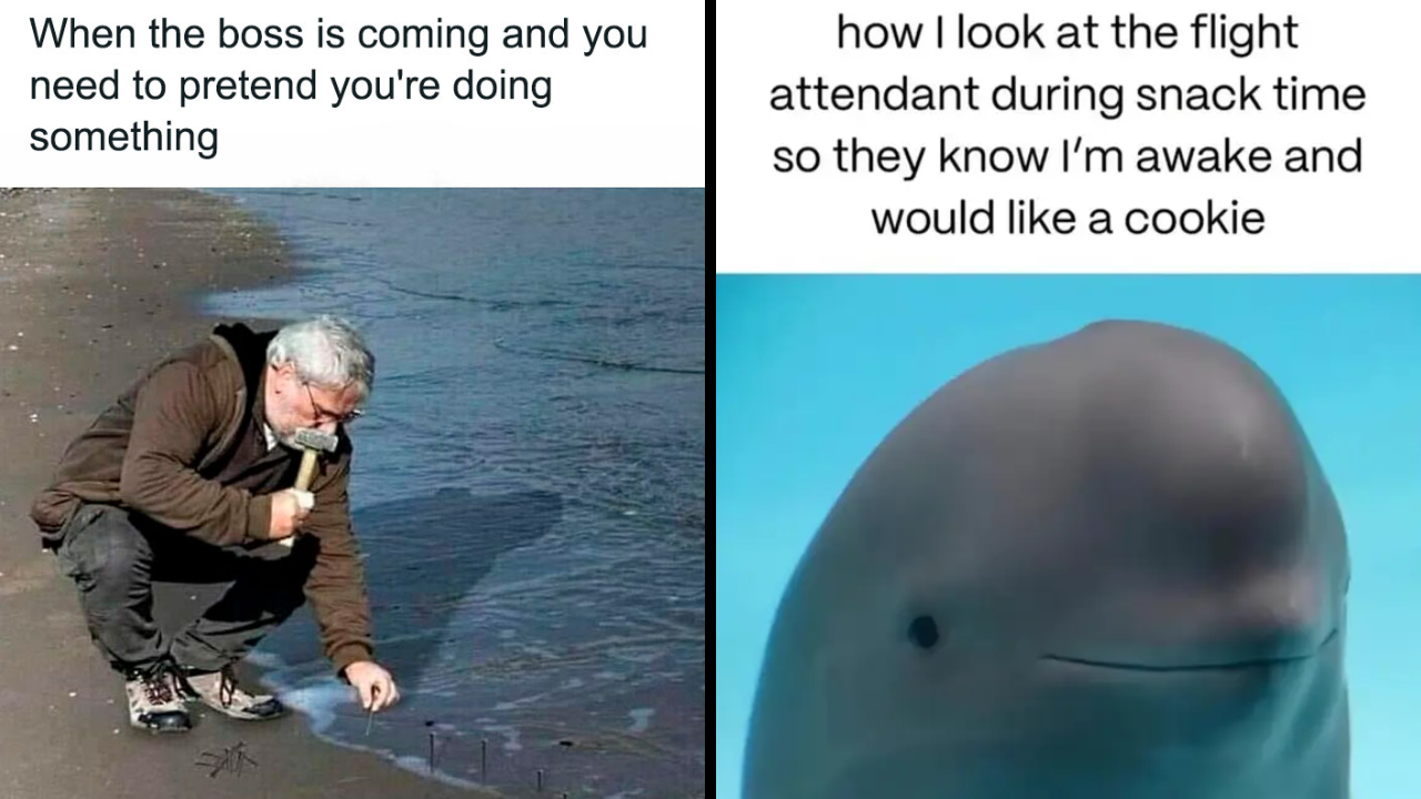 Random Intense Memes 28 Memes That Feel A Bit Too Personal – Garlic Soda