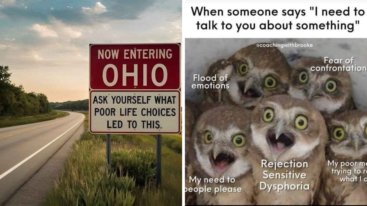 17 random memes no one asked for – Garlic Soda