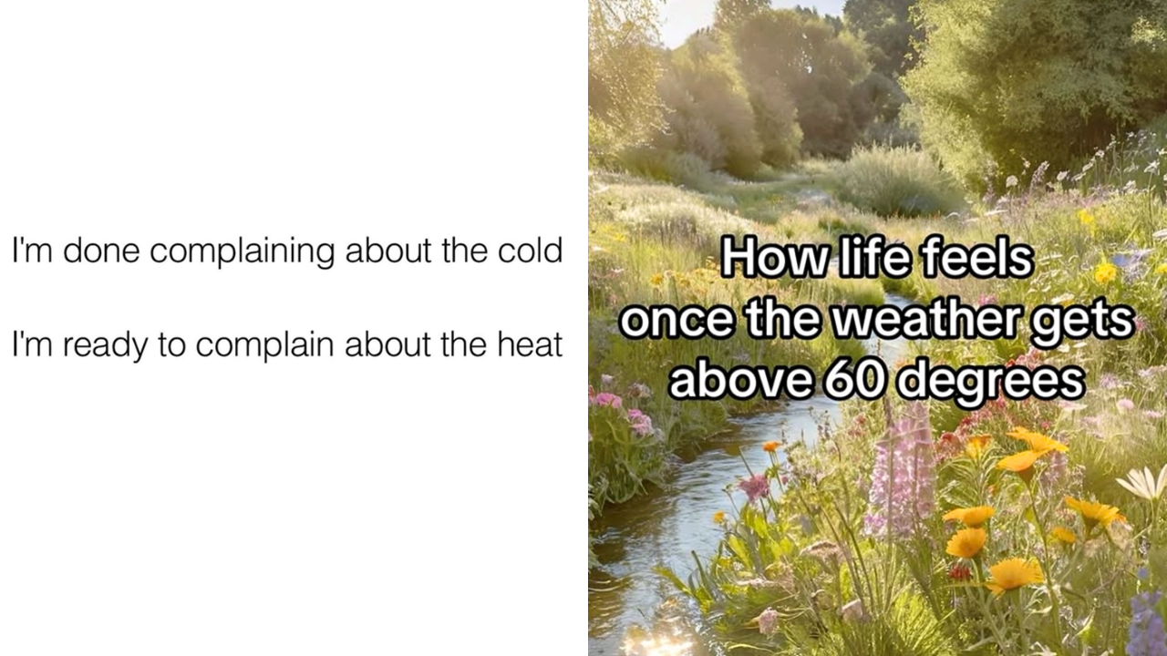25 Summer Memes To Get You Ready For The Sun – Garlic Soda